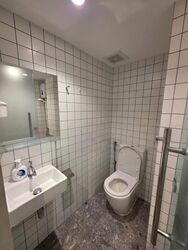 Kelantan Lane (D8), Apartment #479605501